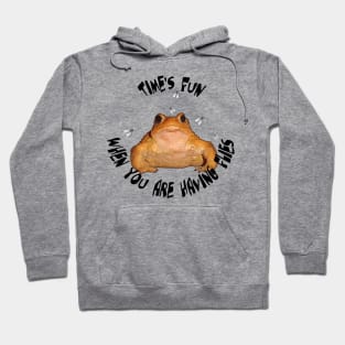 Time Is Fun When You Are Having Flies Hoodie